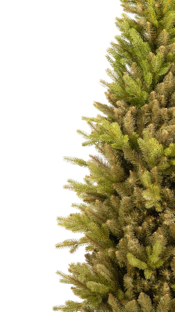 malali-180sm-vitsro-snaptree---dizaineruli-nadzvis-khe-shako-da-ninosgan-photo-3