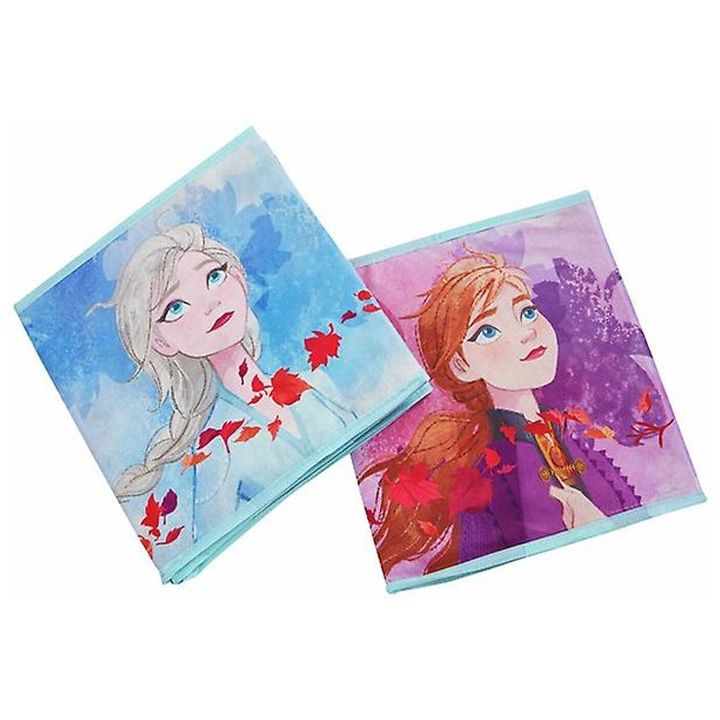 storage-cubes-disney-frozen-satamashoebis-quti-photo-3