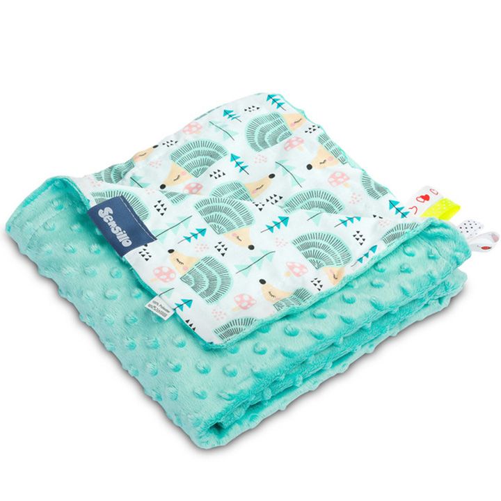 sensillo-sabavshvo-pledi