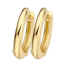Product image of Blush 7217YGO Blush Oorbellen საყურე