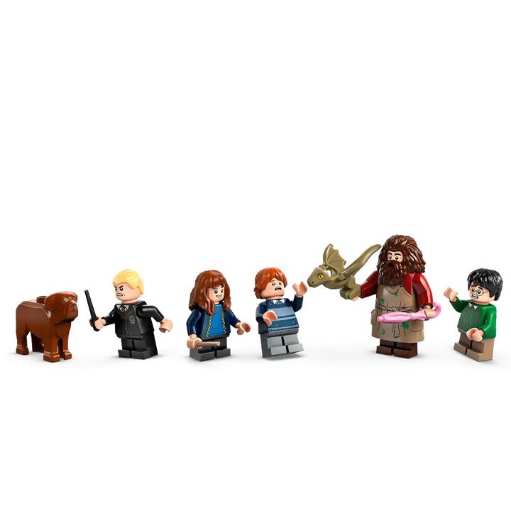 lego-hagrids-hut-an-unexpected-visit-konstruqtori-photo-4