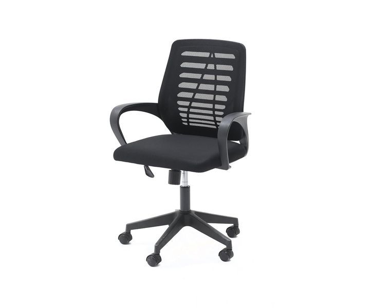 my-office-gorgolachebiani-skami