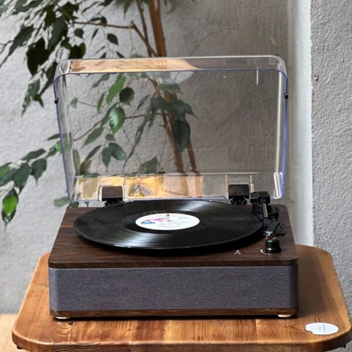 goka-rp18-firsakravi-photo-3