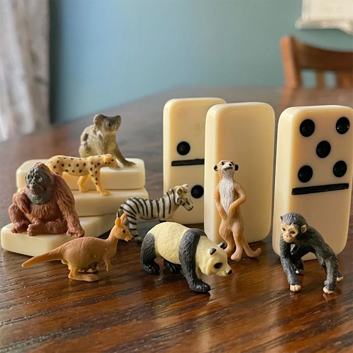safari-fun-pack-exotic-satamasho-figurebi-photo-4