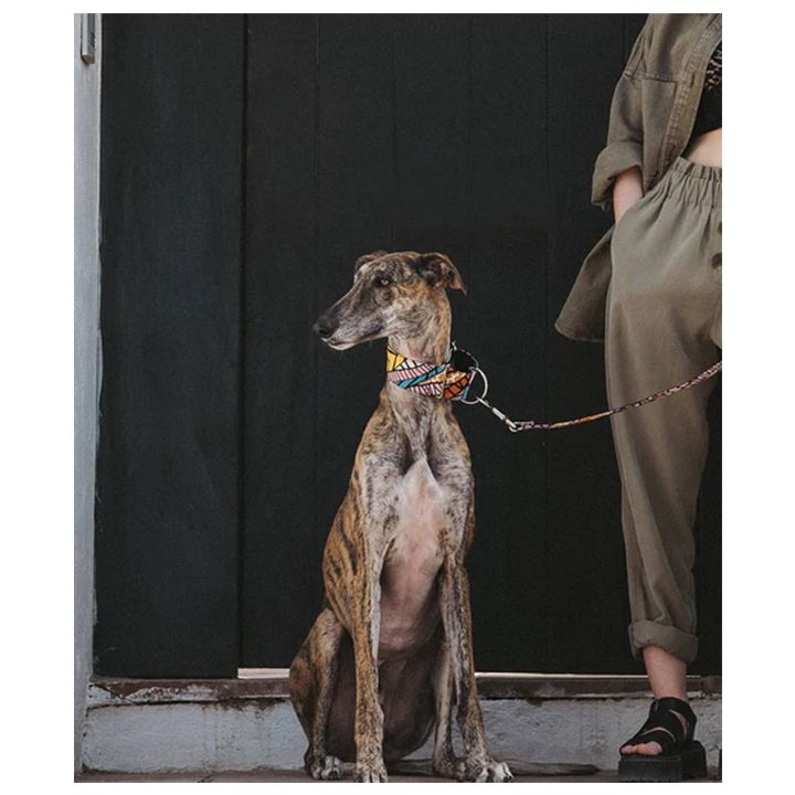 brott-dzaghlis-saqelo