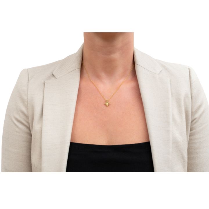 chronos-gulsakidi-rombiseburi-photo-2