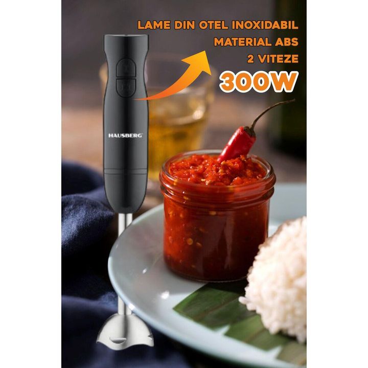 hausberg-hb-7674ng-300w-khelis-blenderi-photo-2