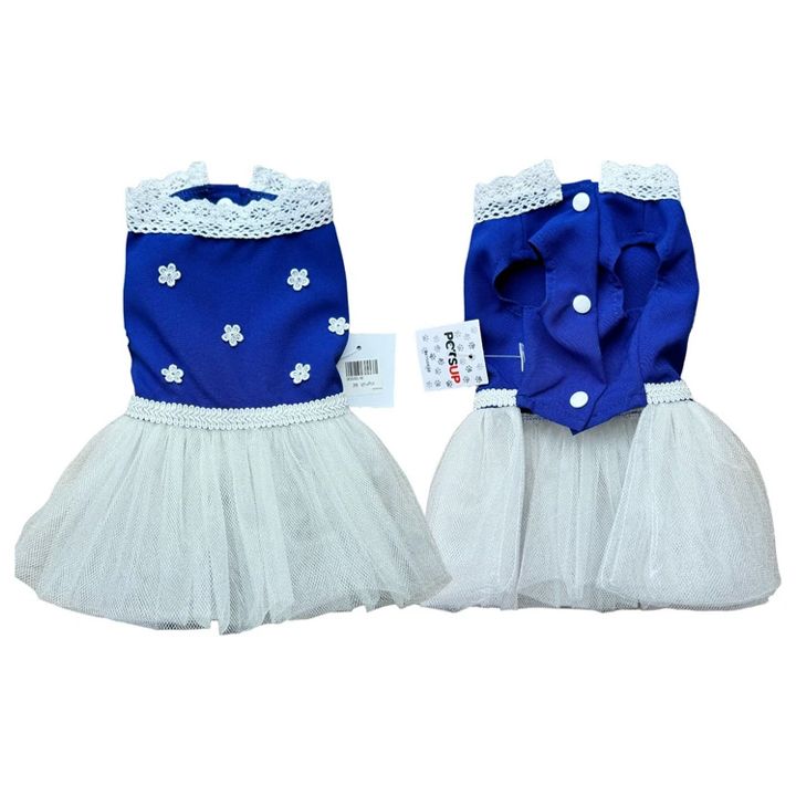 petsup-tskhovelis-tansatsmeli