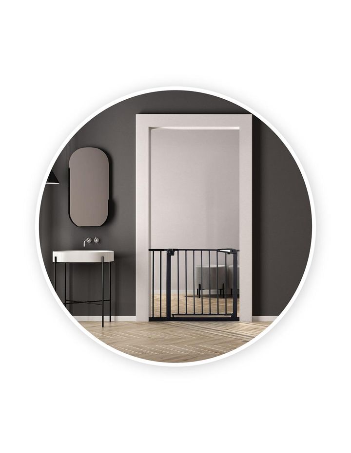 momi-paxi-damtsavi-jebiri-photo-3