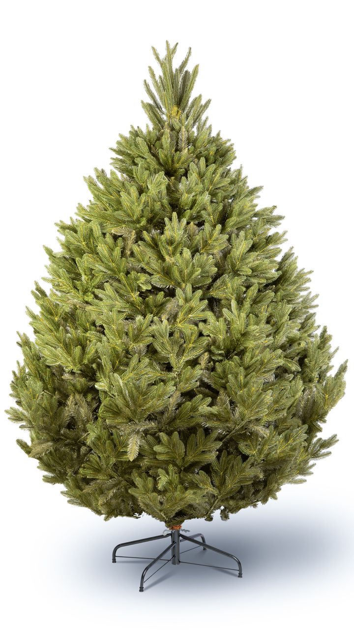 aqate-250sm---dizaineruli-nadzvis-khe-shako-da-ninosgan