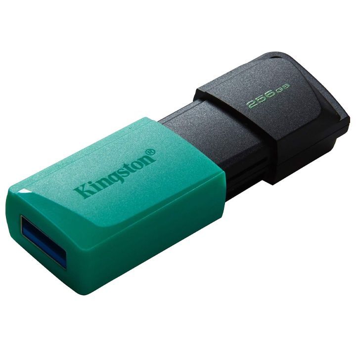 kingston-dtxm-256gb-usb-flesh-mekhsiereba-photo-2