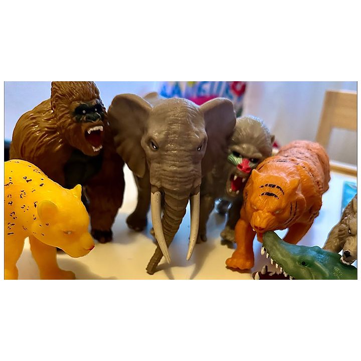 sbabam-tqis-binadrebi-photo-2