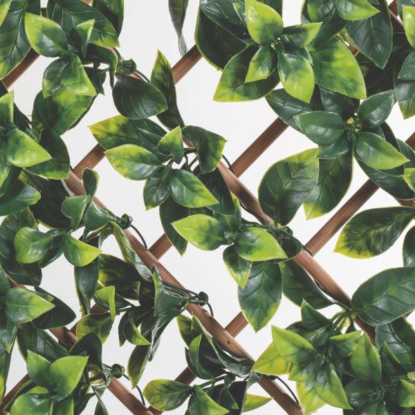 bambukis-dekoratiuli-gisosi-khelovnuri-fotlebit-photo-2