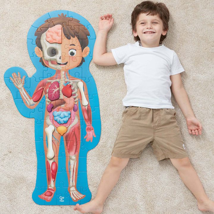 hape-human-body-puzzle-adamianis-skheulis-tavsatekhi-photo-3