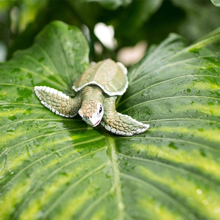 safari-kemps-ridley-sea-turtle-baby-satamasho-figura-photo-4