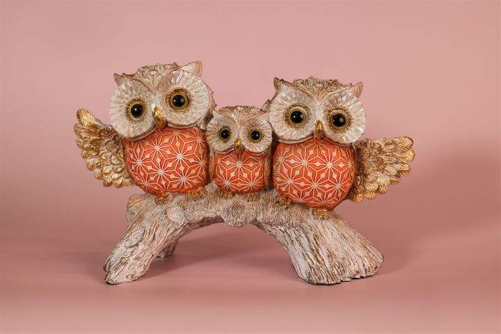 buebis-sameuli-tsiteli-samosit-totze-245103147sm