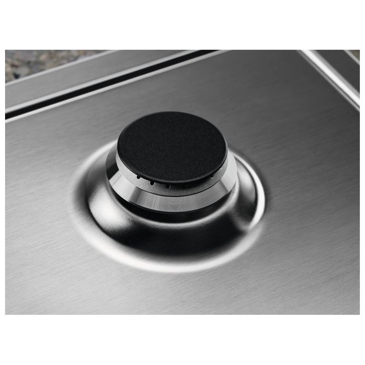 electrolux-egs6436sx-gazis-chasashenebeli-quris-zedapiri-photo-2