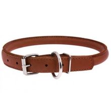 Product image of COLLAR ძაღლის საყელო