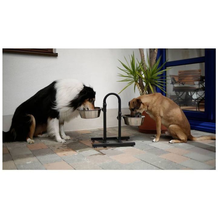 kerbl-dzaghlis-jami-photo-4