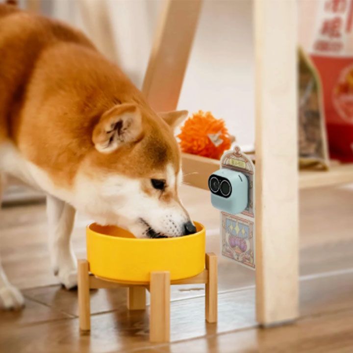 xiaomo-magic-camera-360-ptz-inteleqtualuri-kamera-photo-3