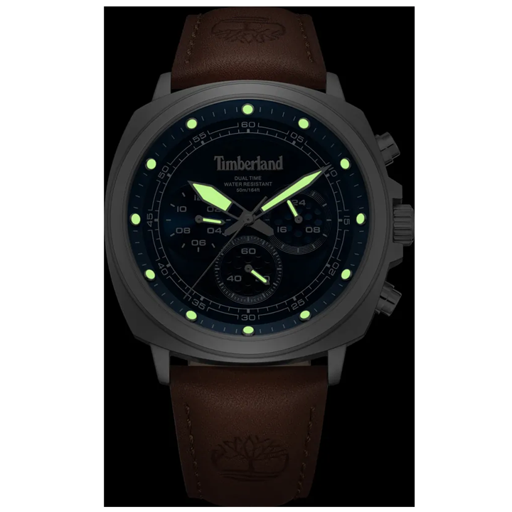 timberland-tdwgf0042001-mamakatsi-saati-photo-2