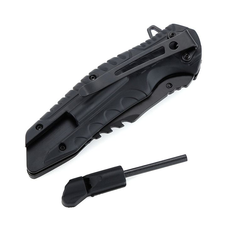 dana-taqtikuri-photo-3