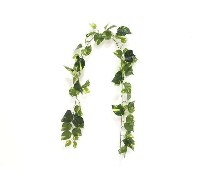 laboratory-my-home-khelovnuri-mtsenare