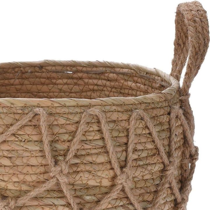 koopman-timeless-elegance-datsnuli-kalata-23-20-sm