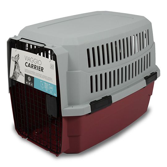 m-pets-viaggio-gadamqvani-l-photo-2