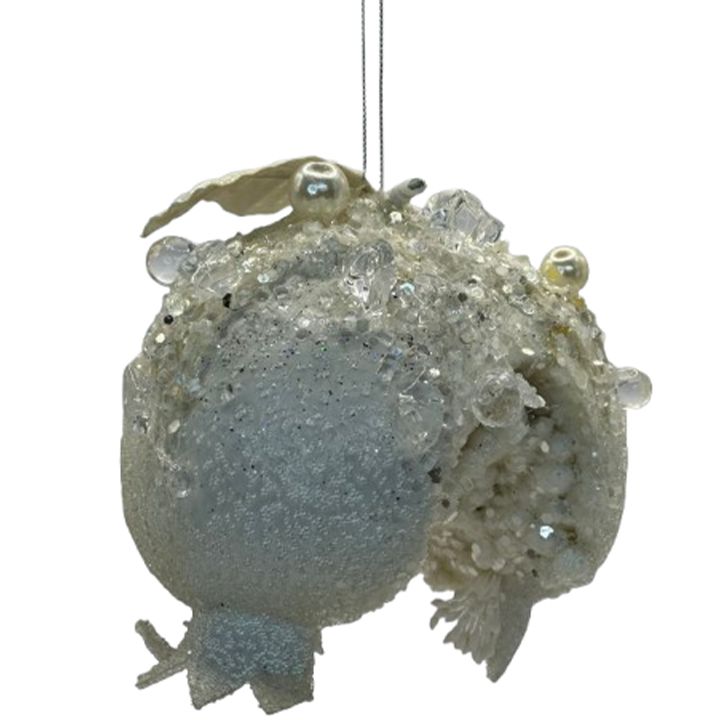 nadzvis-khis-satamasho-brotseuli-photo-4