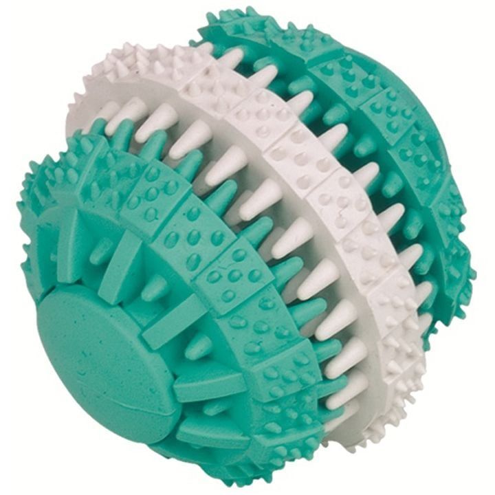 nobby-dzaghlis-satamasho